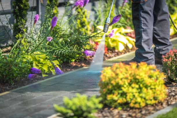 Best Gutter Cleaning  in Waseca, MN