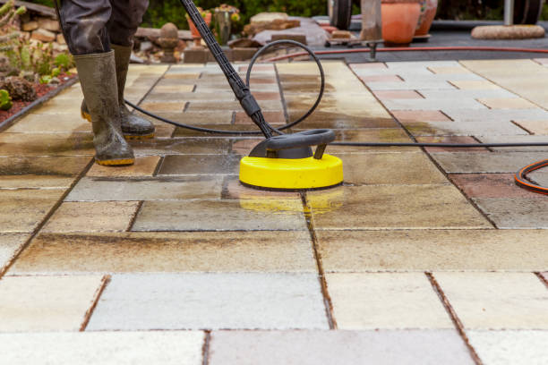 Best Fence Cleaning  in Waseca, MN